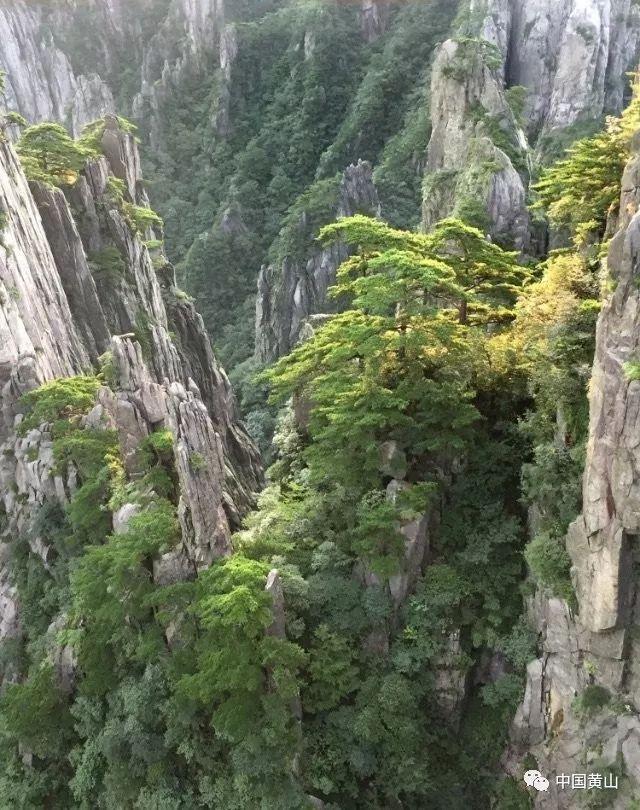 点燃冰雪运动热情，任城区开展从业人员冰雪趣味运动会